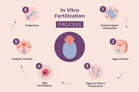 IVF Treatment in Raja Park