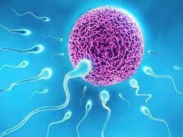 Best IVF clinic in jhotwara