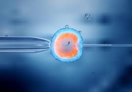 IVF in Sitapura