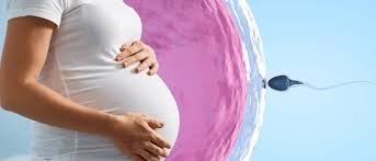 best IVF center in mansarover