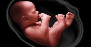 IVF specialist in udaipur