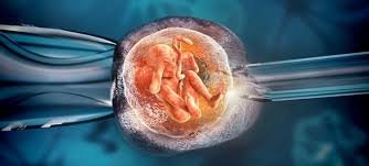 Male Infertility treatment in jhotwara