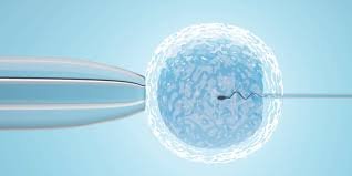 best male infertility in udaipur