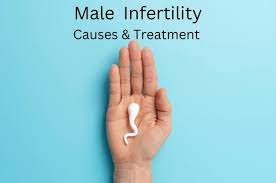 male infertility treatment in sanganer