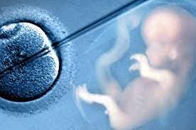 male infertility in sitapura